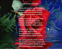 /album/resim-galerisi/umut-jpg/